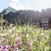 Restaurant Holzgauerhaus in Warth am Arlberg