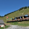 Restaurant La Bourri in Torgon (Valais / District de Monthey)