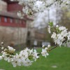 Restaurant Wasserschloss Hagenwil in Hagenwil bei Amriswil (Thurgau / Arbon)