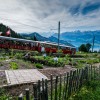 Restaurant Kruterhotel Edelweiss in Rigi Kaltbad (Luzern / Amt Luzern)