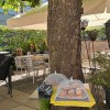 Restaurant Traube St.Gallen in St.Gallen (St. Gallen / Wahlkreis St. Gallen)]