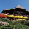 Restaurant Au Vieux Grenier in Plagne