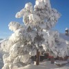 Restaurant Berghotel-Klenenhorn in Rosswald