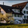 Restaurant Sternensee in Samstagern (Zrich / Horgen)]