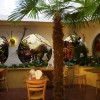 Tropepflanzen Restaurant Florida in Studen
