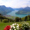 Bergrestaurant Timpelweid in Brunnen (Schwyz / Schwyz)]