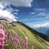 Bergrestaurant Rothorn Kulm in Brienz (Bern / Interlaken-Oberhasli)]