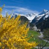 Stua Granda restaurant in Soglio (Graubnden / Maloja / Distretto di Maloggia)]