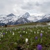 Restaurant Berghaus Piz Platta (Alp Flix) in Sur (Graubnden / Albula)