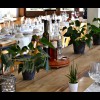 Hotel Restaurant Baeren - The Alpine Herb Hotel / Restaurant in Wengen