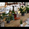Alpenkruter Restaurant Bren in Wengen