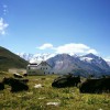 Restaurant Alp Muottas  in Samedan  (Graubnden / Maloja / Distretto di Maloggia)]