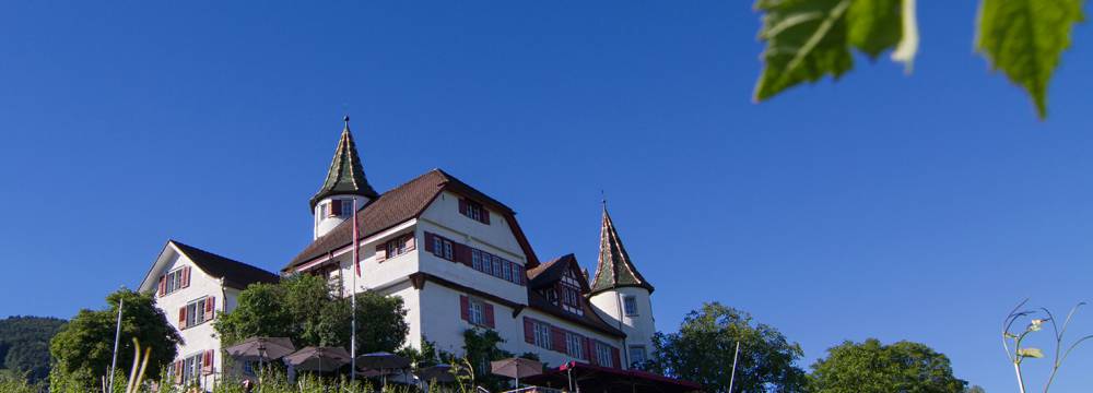 Romantik Restaurant Schloss Weinstein in Marbach