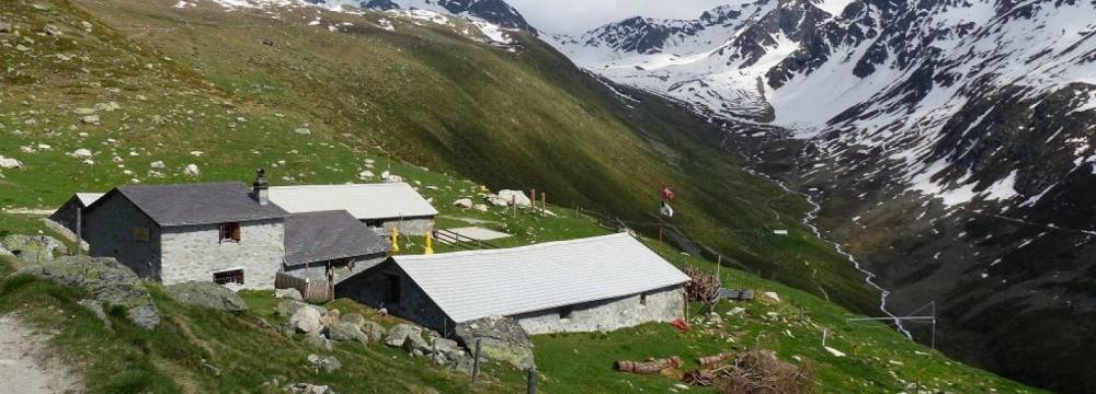 Alp Muottas  in Samedan 