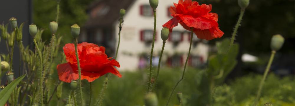 Landgasthof Keller in �berlingen Lippertsreute
