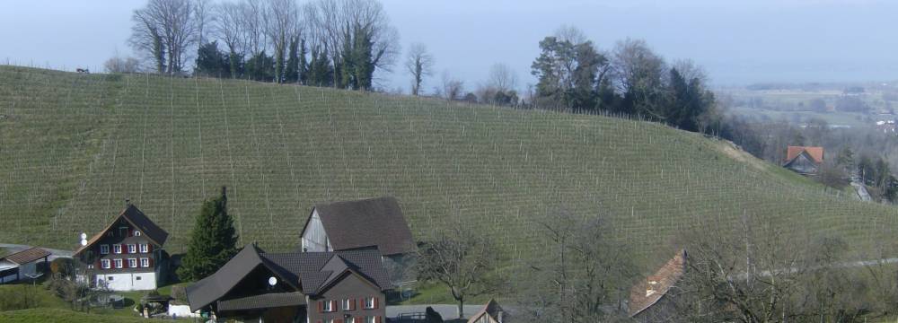 R�ssli Romenschwanden in St. Margrethen