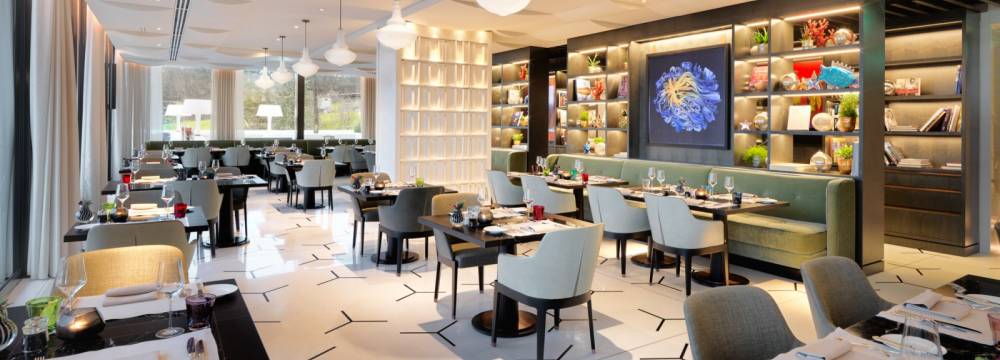 Restaurant Hide & Seek - Zrich in Zrich