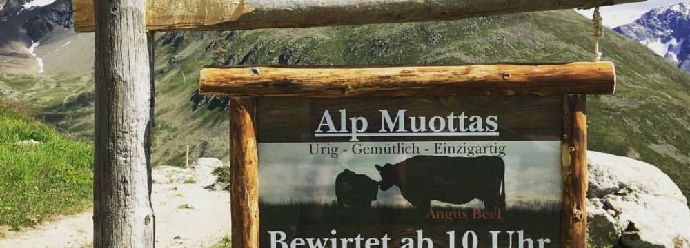 Alp Muottas  in Samedan 
