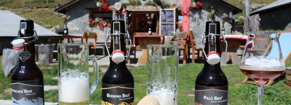 Alp Muottas  in Samedan 