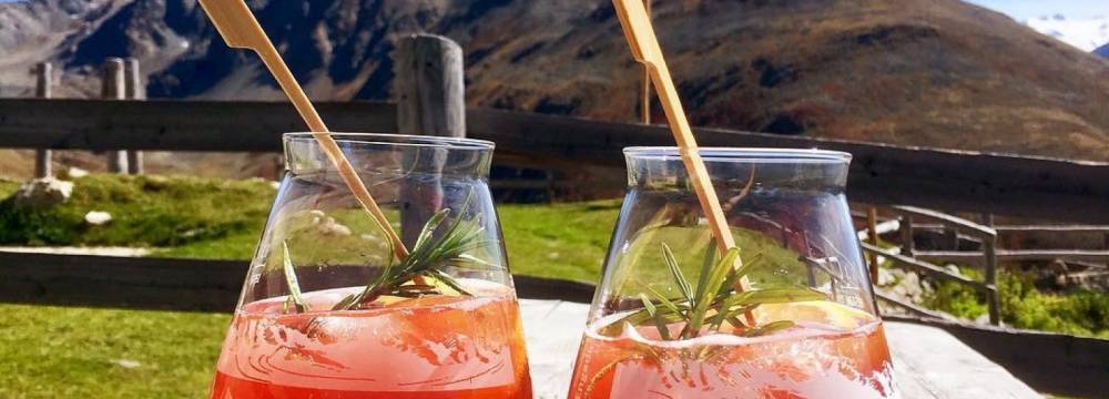 Alp Muottas  in Samedan 