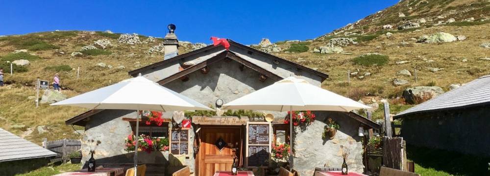Alp Muottas  in Samedan 