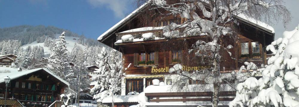 Azalee in Schnried
