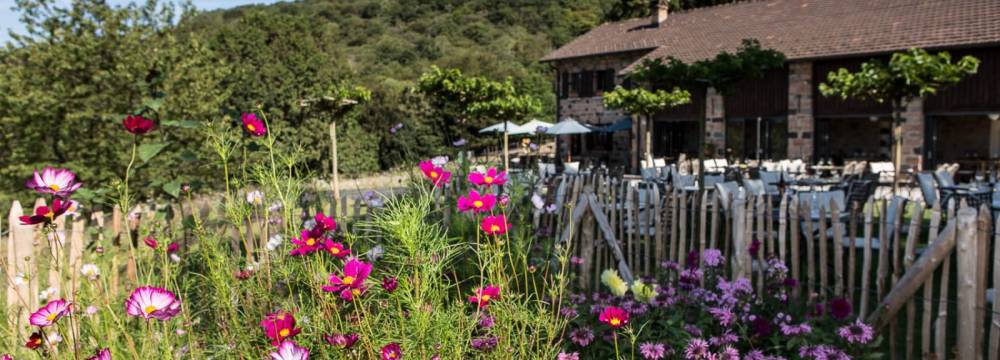 Restaurants in Vico Morcote: Ristorante Vicania