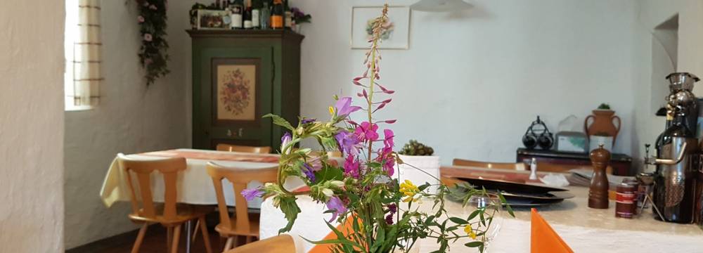 Gasthaus Alpina in Salouf