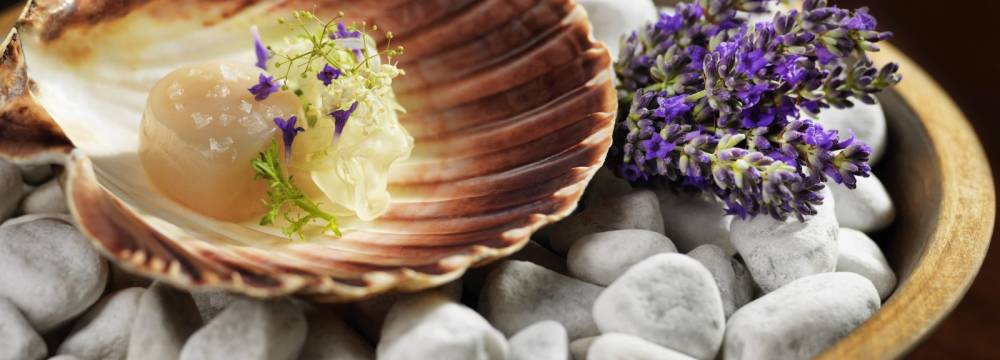 Restaurants in Champfr: Ecco St. Moritz Giardino Mountain