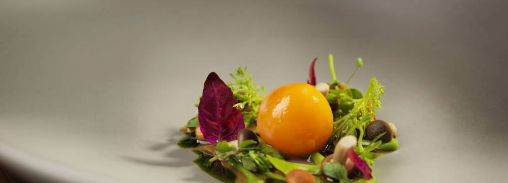 Restaurant Ecco St. Moritz Giardino Mountain in Champfr