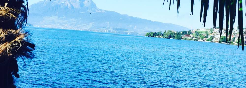 Restaurant RIVA in Weggis