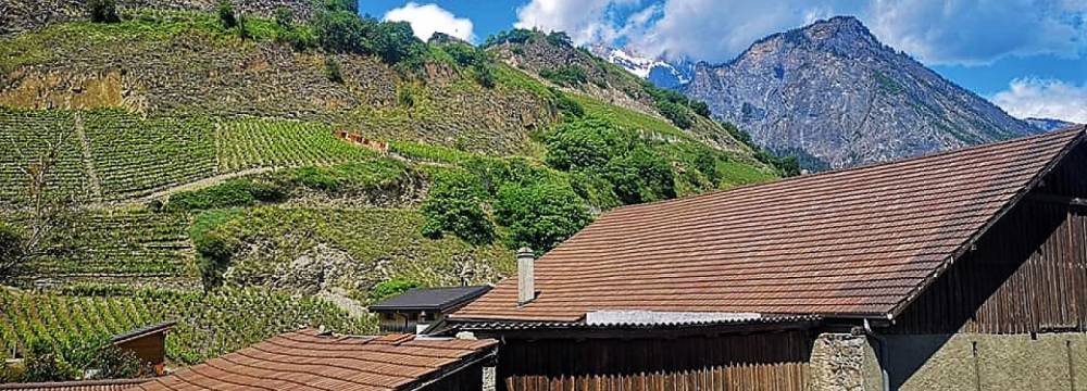 Restaurants in Saillon: Caf restaurant de la Poste, Saillon
