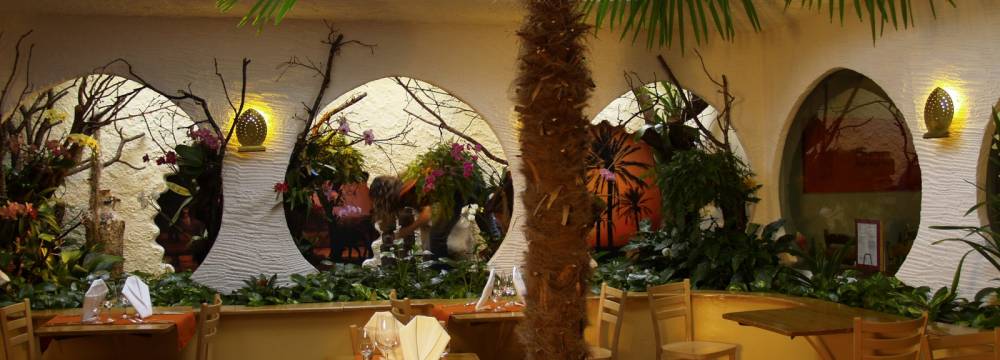 Tropepflanzen Restaurant Florida in Studen