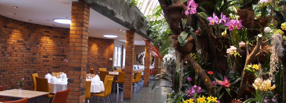 Tropepflanzen Restaurant Florida in Studen