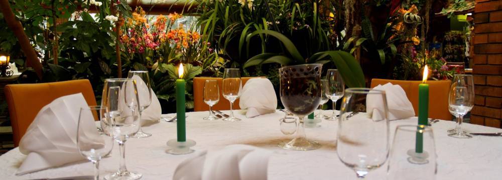 Tropepflanzen Restaurant Florida in Studen