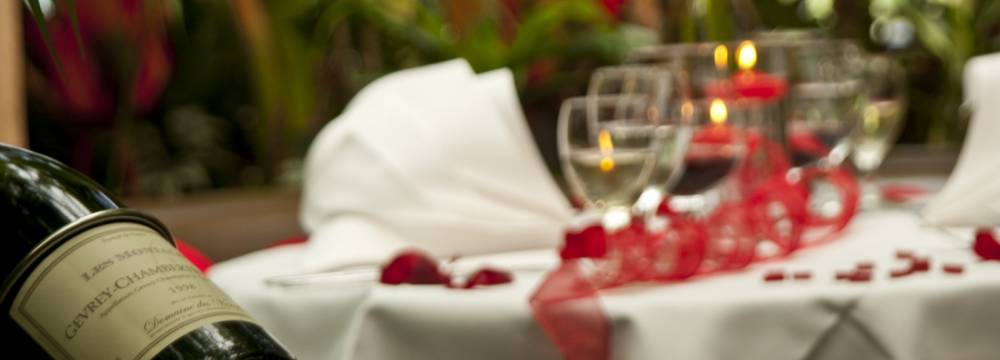 Tropepflanzen Restaurant Florida in Studen