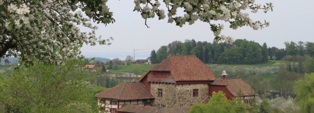 Wasserschloss Hagenwil in Hagenwil bei Amriswil
