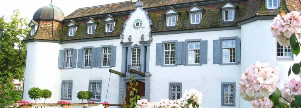 Schloss Bottmingen in Bottmingen