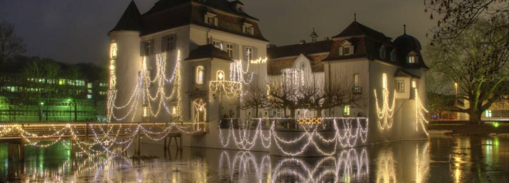 Schloss Bottmingen in Bottmingen