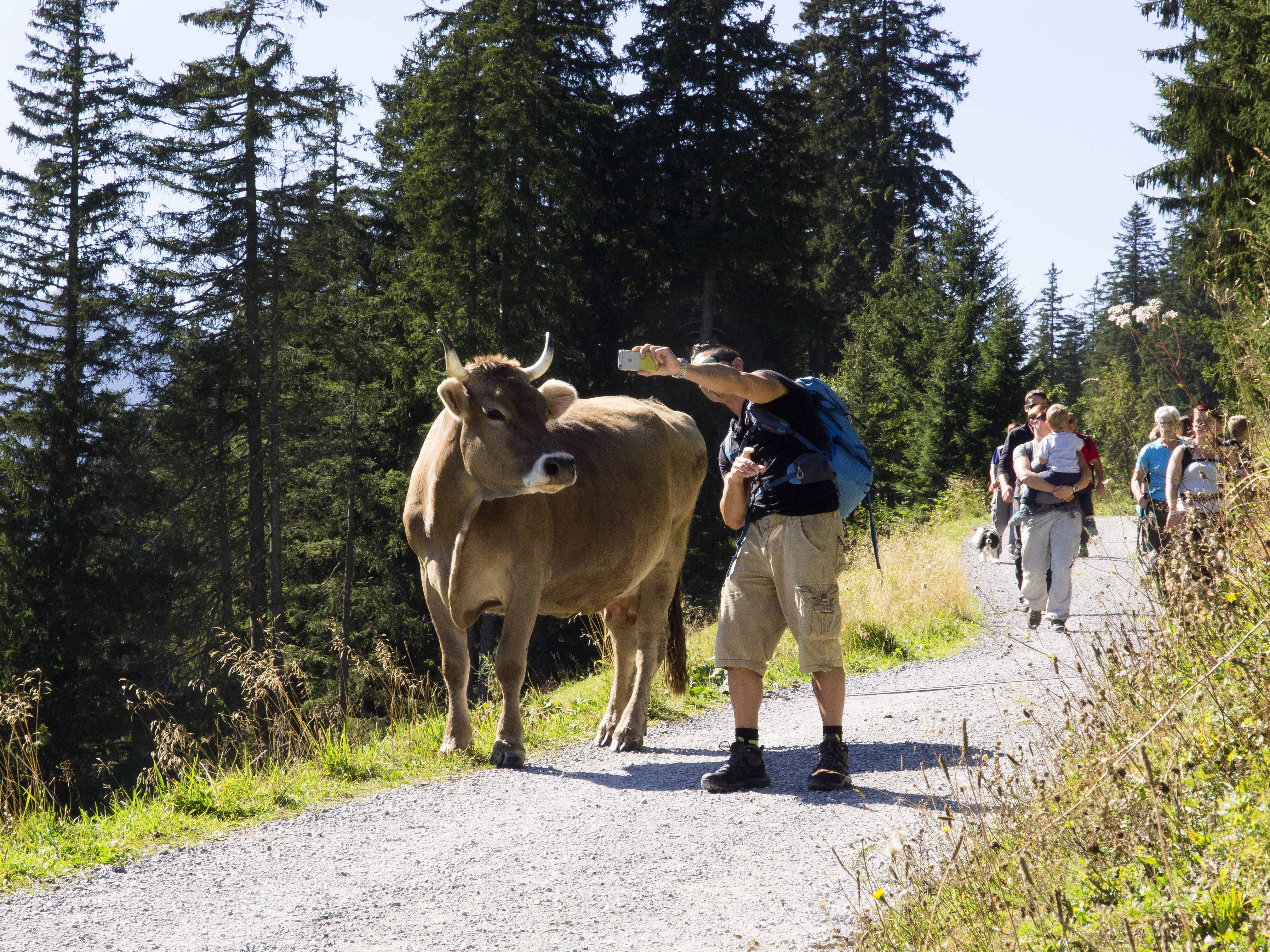 Fünfliber-Wandertag in Elm