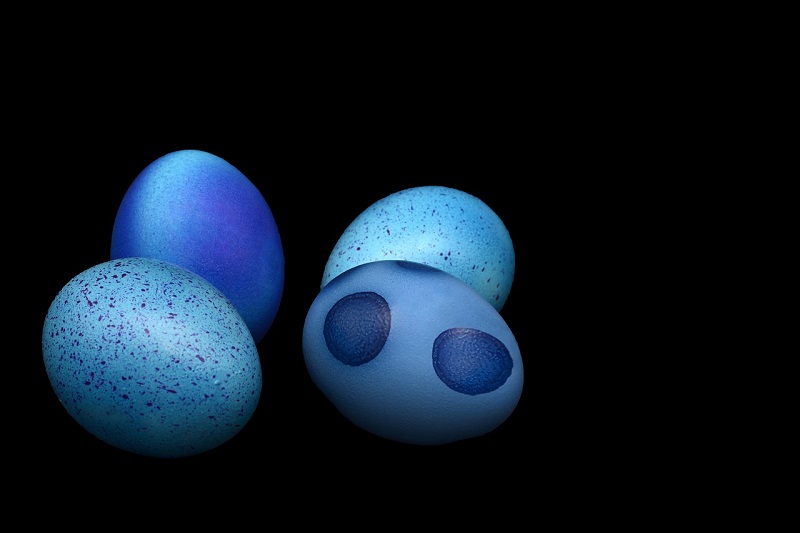 GENUSSDOSSIER OSTERN - EGGSKLUSIV FÜR SIE!