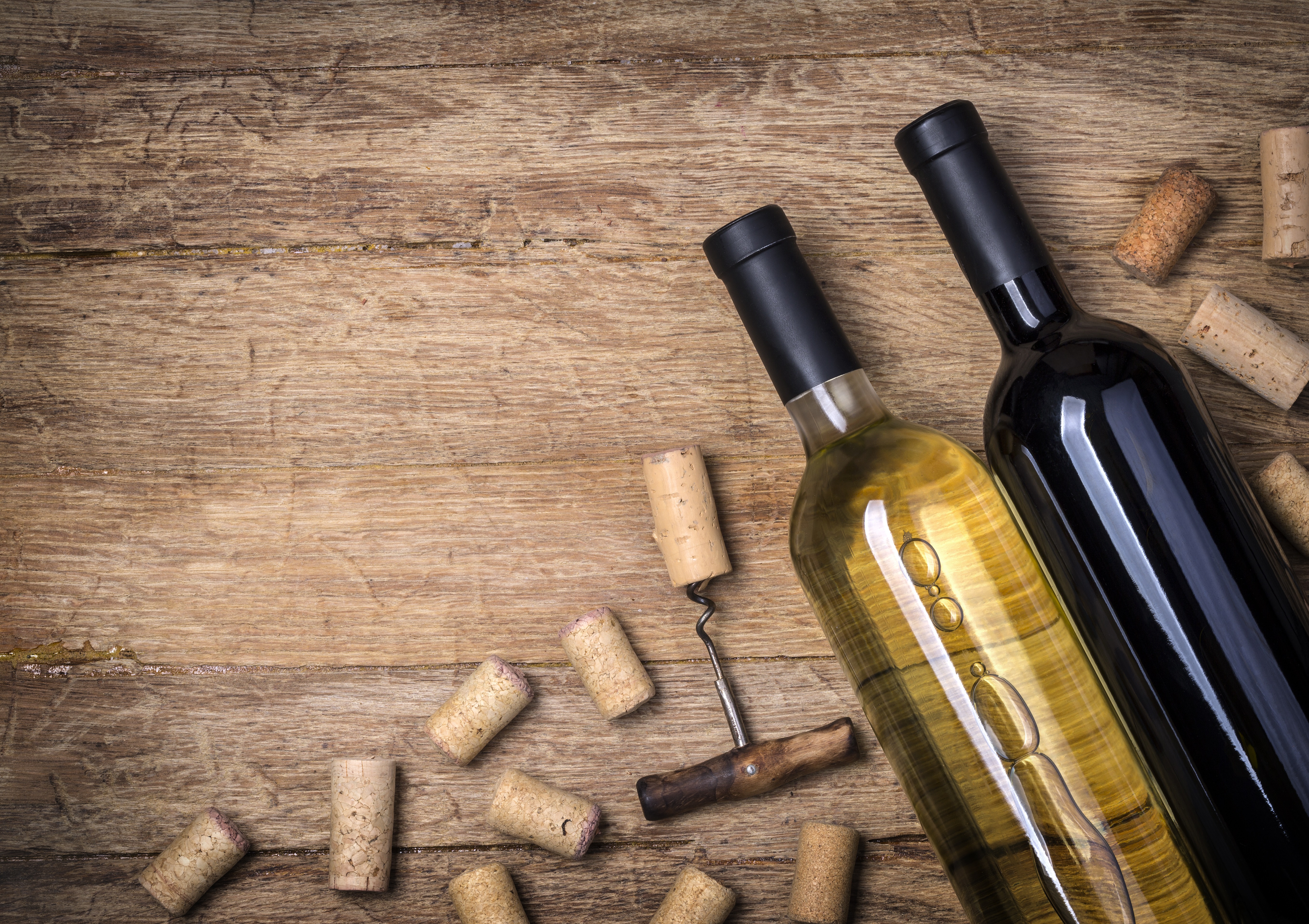 «GENERATION WEIN» - junge wilde Winzer