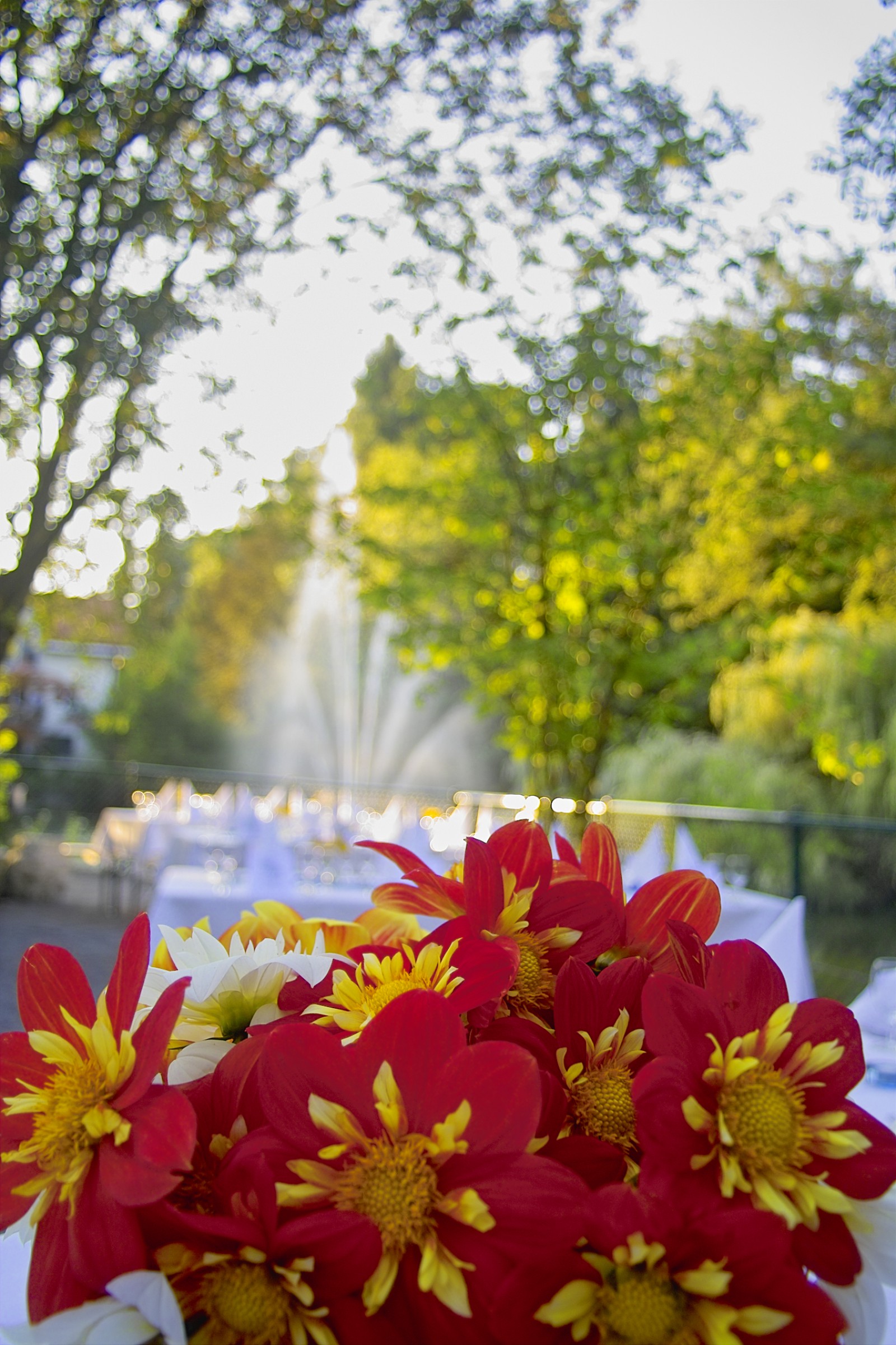 Tropepflanzen Restaurant Florida in Studen, Foto 18