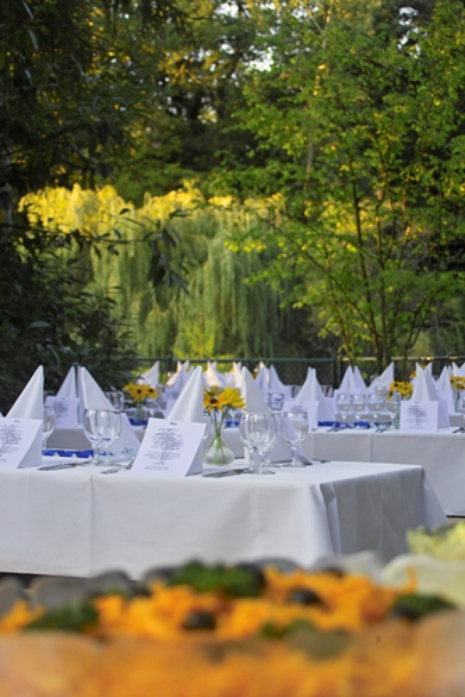 Tropepflanzen Restaurant Florida in Studen, Foto 17