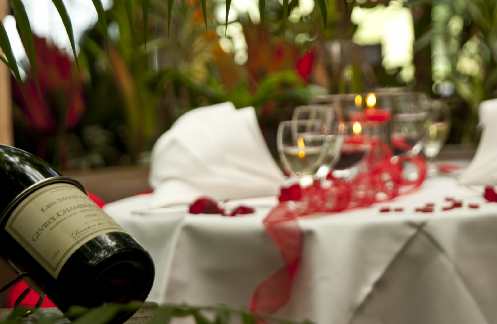 Tropepflanzen Restaurant Florida in Studen, Foto 16