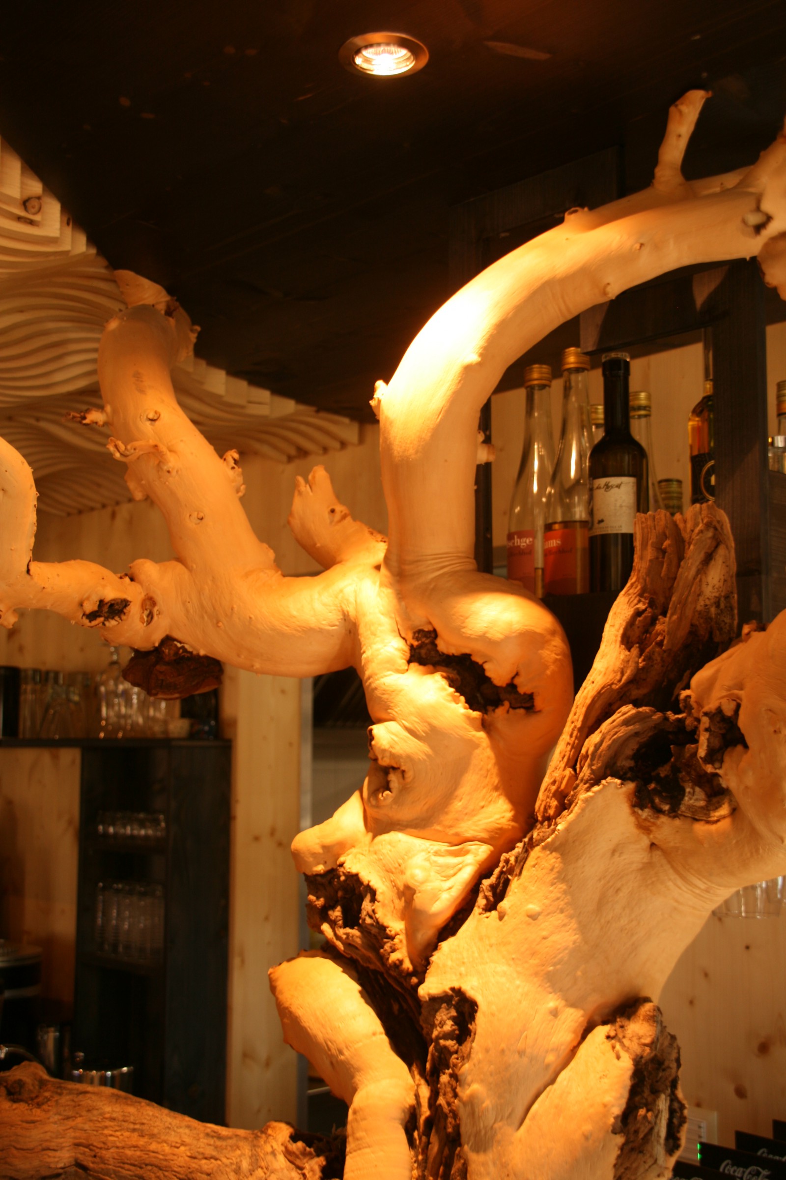 Cafe 3692 in Grindelwald, Foto 7