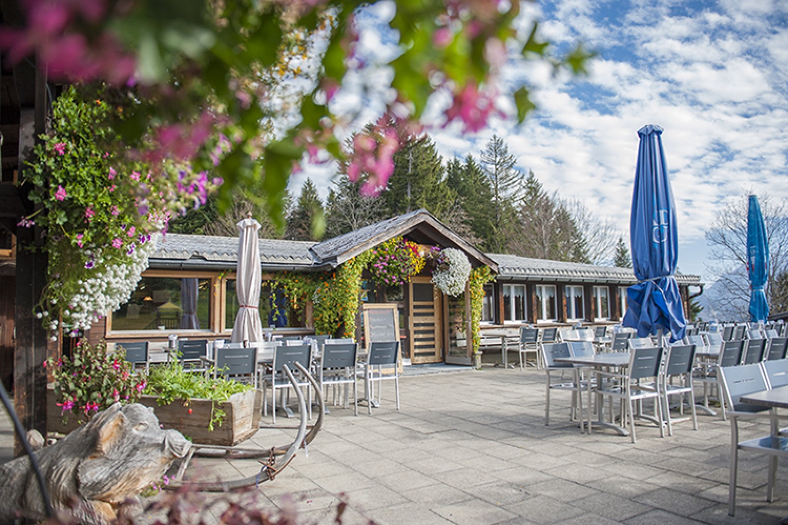 Restaurant Bergrestaurant Wolzenalp in Nesslau