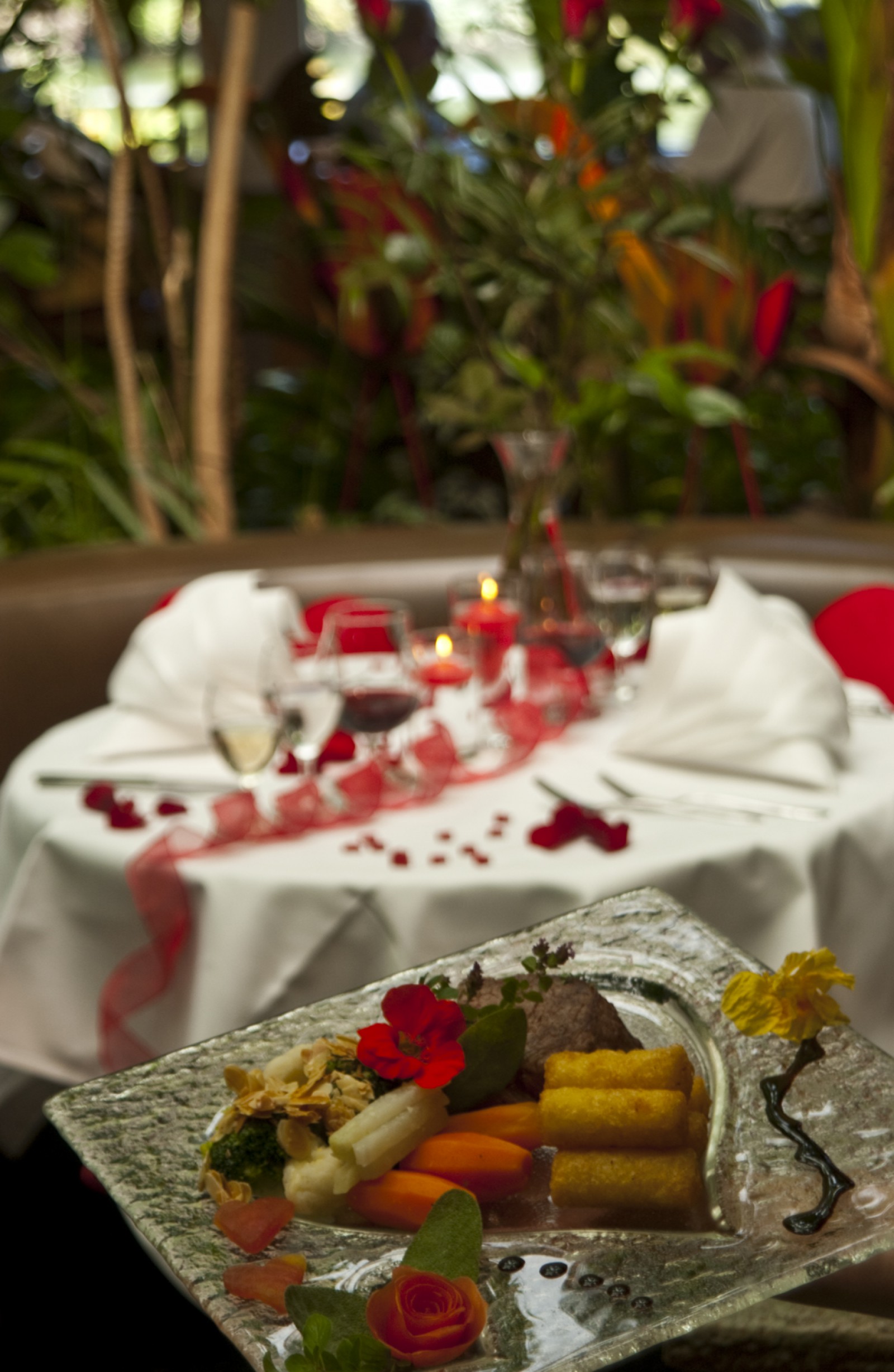 Tropepflanzen Restaurant Florida in Studen, Foto 14