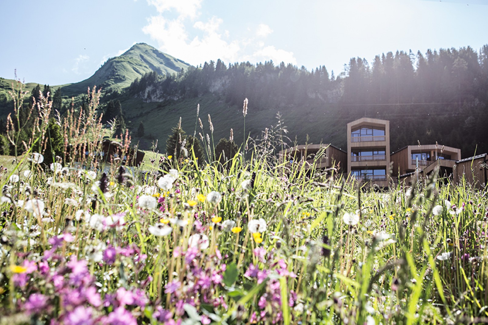 Restaurant Holzgauerhaus in Warth am Arlberg