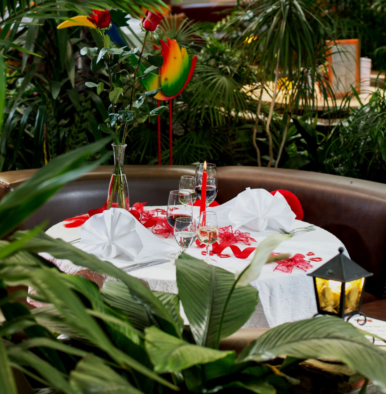 Tropepflanzen Restaurant Florida in Studen, Foto 13